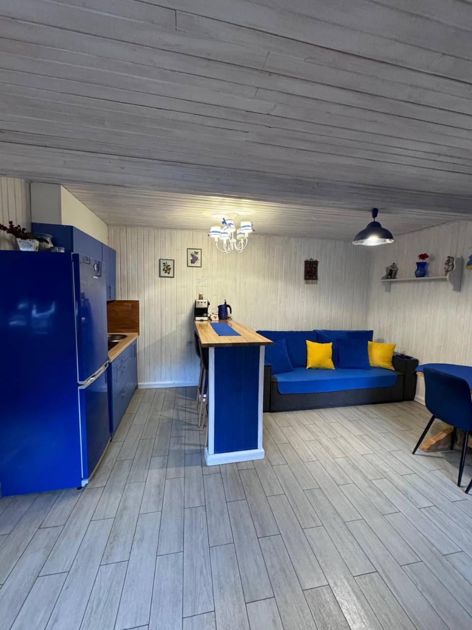 House Beskyd Villa Skole Bagian luar foto