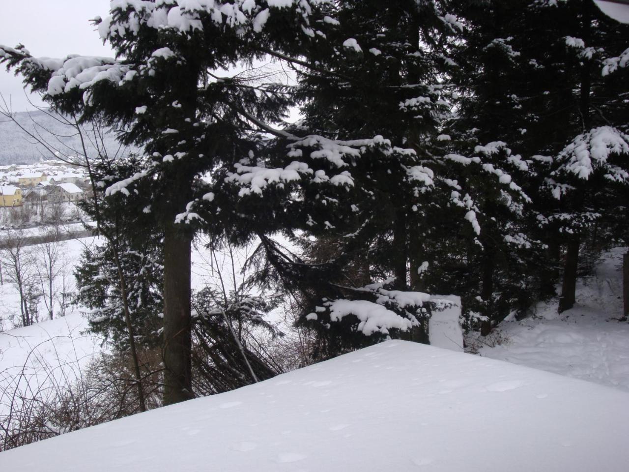 House Beskyd Villa Skole Bagian luar foto