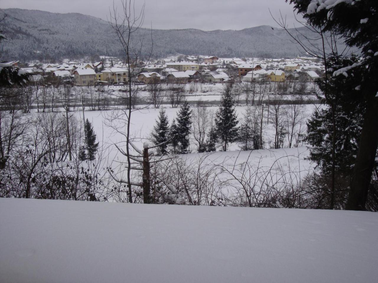 House Beskyd Villa Skole Bagian luar foto