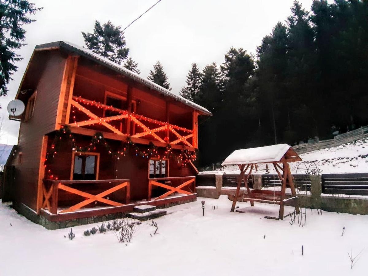 House Beskyd Villa Skole Bagian luar foto